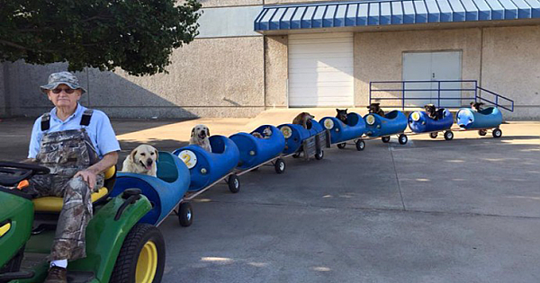 80-Year-Old Man Builds 'A Dog Train' To Take Rescued Homeless Dogs On Adventures