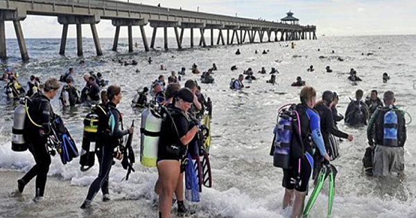 633 Divers Cleanup 1.5 Tons of Trash From Ocean Floor in Florida, Breaking Guinness World record