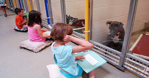 Children Read To Shelter Dogs To Calm Down Them, But Also Improve Their Reading