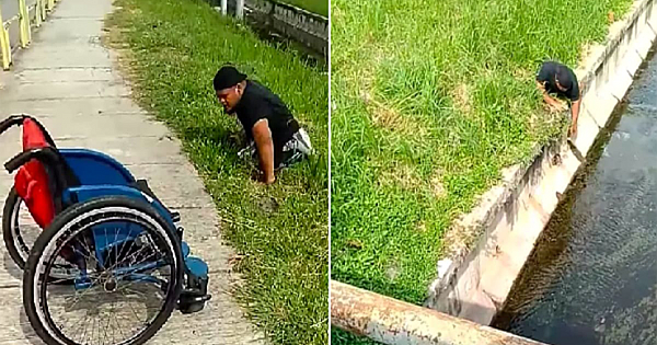 Disabled Man Gets Out Of His Wheelchair And Risks His Life To Save Kitten Stuck In Drain