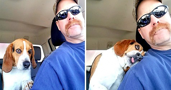 Dog On Kill List Saved At Last Minute, Hugs His Rescuer On The Way To Freedom