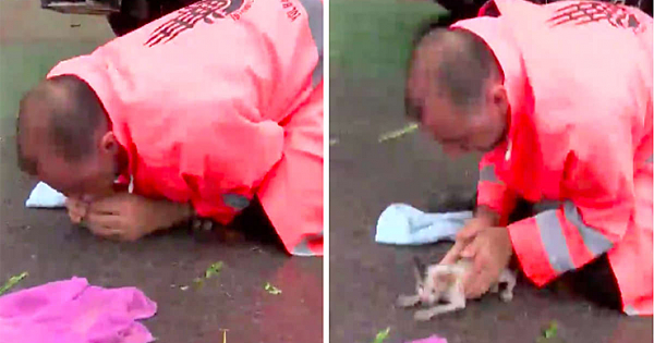 Heroic Road Worker Brings Drowning Kitten Back To Life And Adopts Her