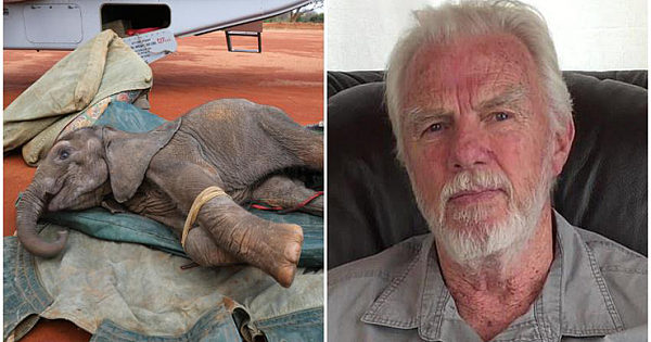 Hunter who has killed at least 5,000 African elephants and hippos says he has no regrets