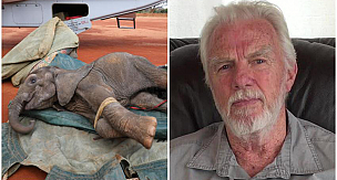 Hunter who has killed at least 5,000 African elephants and hippos says he has no regrets