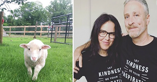 Jon and Tracey Stewart's 45-acre farm is a safe place for abused farm animals