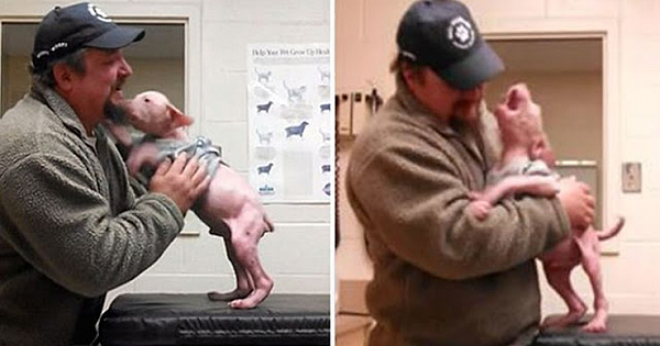 Man Returns To Adopt The Dog He Rescued, And The Surprised Pup Couldn't Be Happier