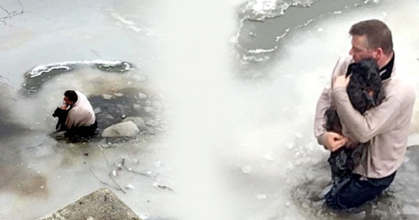 Man sees a terrified dog struggling in the freezing water so he jumps in, risking his life to save the little pooch