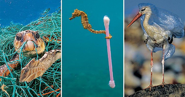 National Geographic's Newest Issue Breaks Hearts With Photos Of The Harsh Reality Of Plastic Pollution