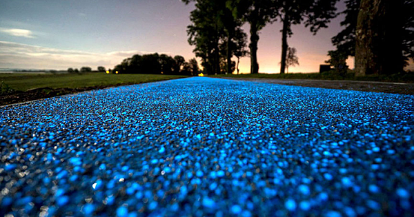 Poland Just Unveils a Glow-In-The-Dark Bicycle Path That's Charged By The Sun