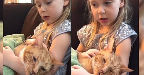 Touching Moment When Little Girl Sings 'You Are My Sunshine' To Her Dying Cat