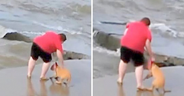 Woman Caught Repeatedly Throwing Puppy Into Lake, Police Refuse To Take Action