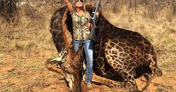 Woman Drowning in Backlash After Hunting Rare Black Giraffe For 'Fun'