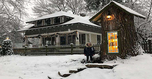 A Dead Tree Was Turned Into A Little Free Library
