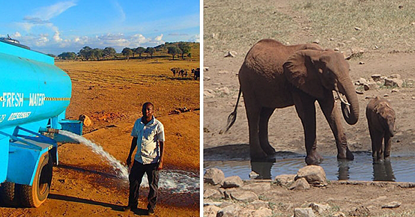 Every Day This Man Drives Hours In Drought To Provide Water To Thirsty Wild Animals