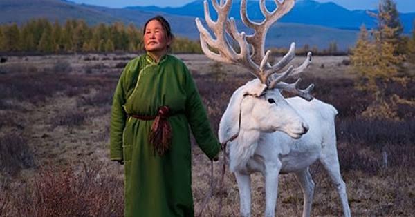 Fascinating photos of the last remaining nomadic groups of reindeer herders