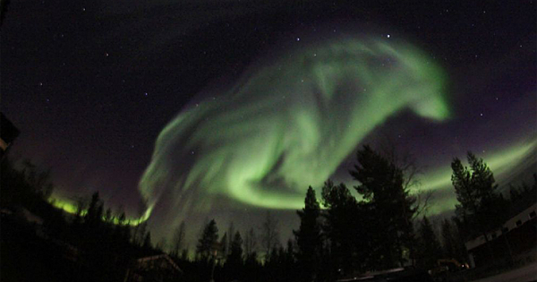 Lucky Photographers Capture Wolf Like Images In The Sky