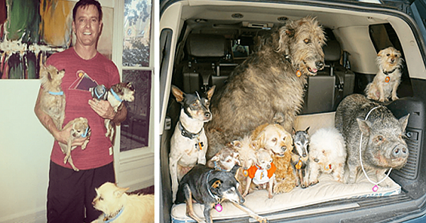 Man Dedicates His Life To Adopting Senior Animals Who Are Overlooked At Shelters