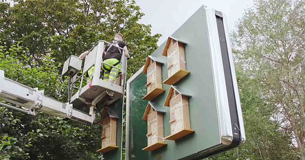 McDonalds is Turning Dozens of Roadside Billboards into 'Honeybee Hotels' in Sweden
