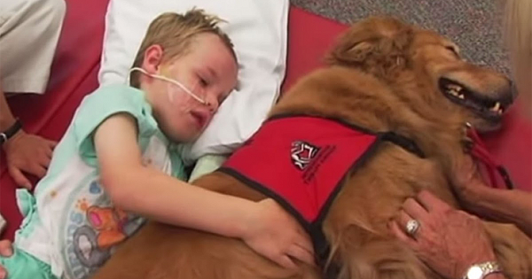They Introduce Their &#039;Lifeless&#039; Son To A Dog. When THIS Happens, I&#039;m Crying!