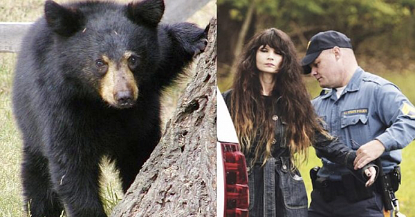 Woman sentenced to jail for freeing crying bear cub from trap in New Jersey