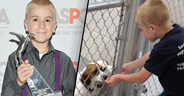 7-year-old named 'Kid of the Year' after rescuing more than 1,300 dogs