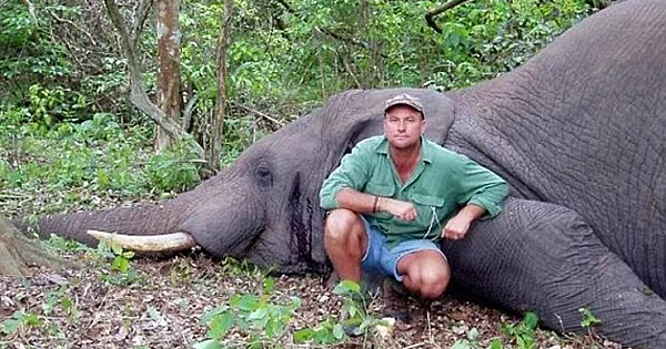 Big Game Hunter Killed When Shot Elephant Collapses On Top Of Him