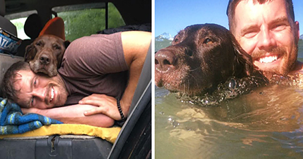 Man Takes His Dog On Final Epic Road Trip After His Dog Was Diagnosed With Cancer
