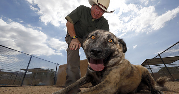 Actor starts animal sanctuary and houses 1500 discarded pets