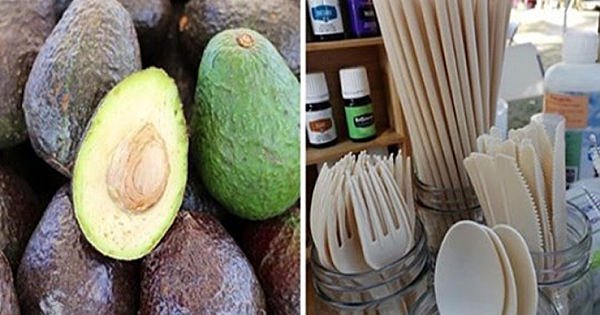 Company Turns Avocado Pit Waste Into Biodegradable Straws and Cutlery