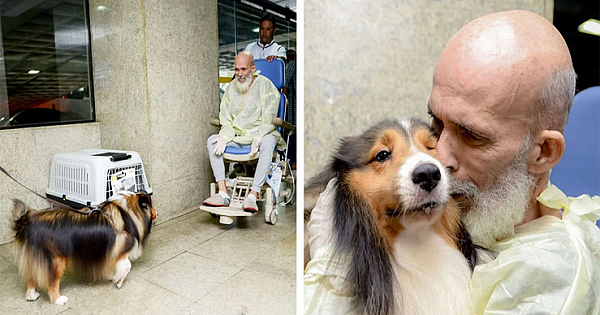 Doctor Surprised By Patient's Improvement After He Met His Beloved Dog