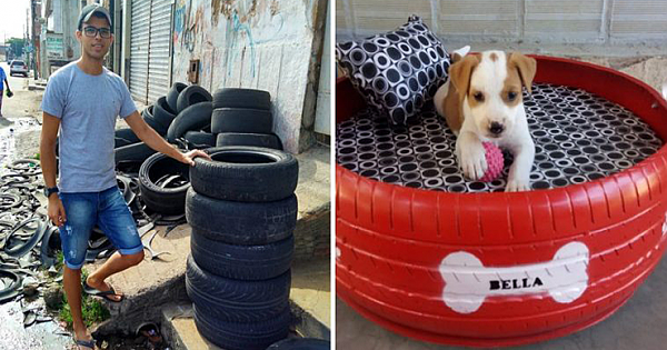 This Guy Transforms Old Tires Into Special Animal Beds