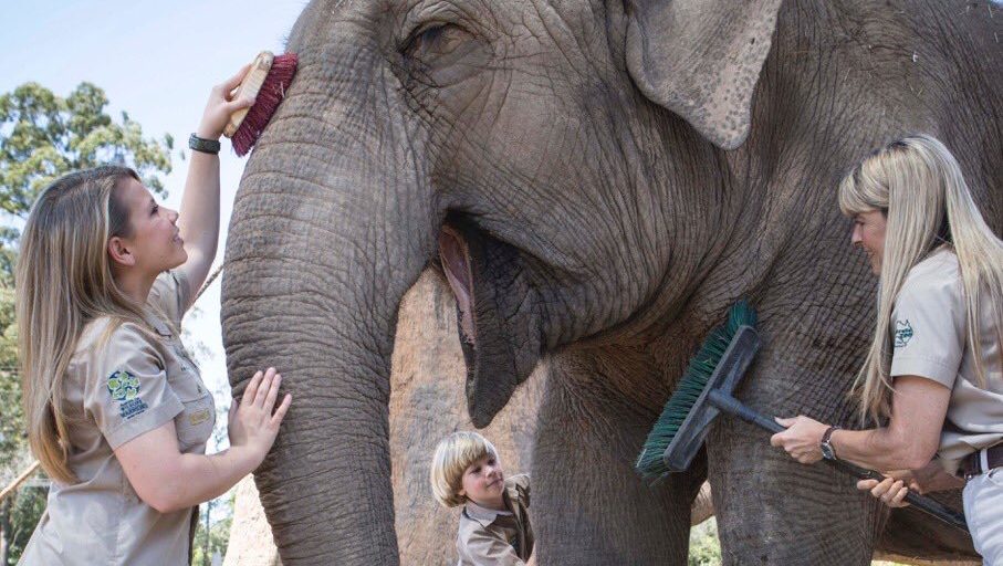 Irwin Family Opens Elephant Sanctuary, Fulfilling One of Steve's Life