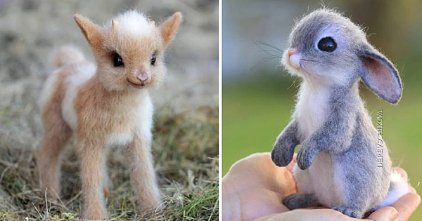 Brilliant Artist Creates Tiny Realistic-Looking Felted Wool Animals, And These Are Her Cutest Creations