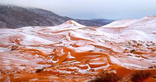 Snow Falls In The Sahara Desert For The First Time Since 1979, And It's Just As Beautiful As You Think