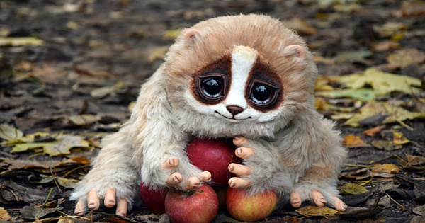 The Top 10 Cute Animals That Can Actually Melt Your Heart
