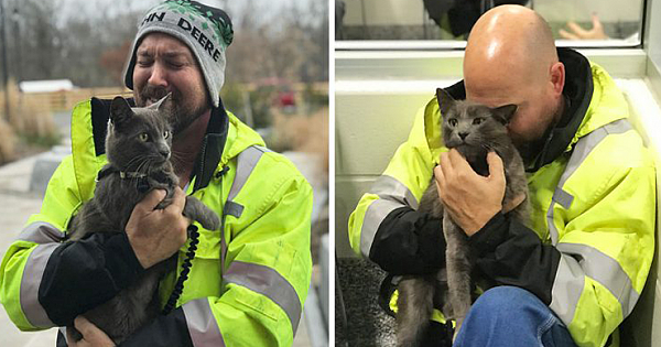 Truck Driver Breaks Down In Tears After Meeting His Lost Travel Buddy-Cat After 5 Months Of Searching