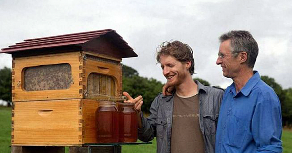 Father and Son Build 50,000 New Beehive Colonies Around the World