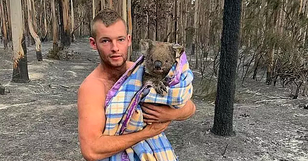Local Hunter Put His Live On The Line To Save Nine Koalas From Australian Bushfires