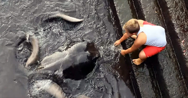 This Boy Is Playing With A Very Unusual Friend