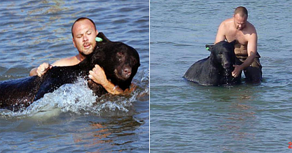 This Brave Man Risks His Life To Save A 400lb Drowning Bear