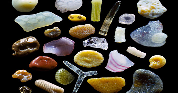 This Is How Sand Looks Magnified Up To 300 Times