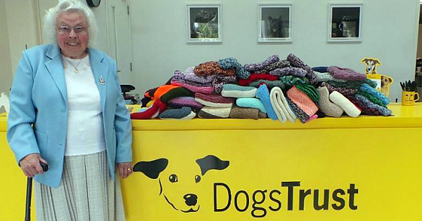 89-Year-Old Woman Knitted 450 Blankets And Dog Coats For Shelter Puppies