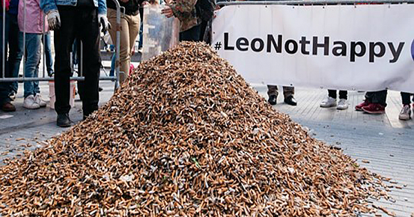 Nearly 300.000 Cigarette Butts Collected In Brussels By Volunteers, In Only 3 Hours