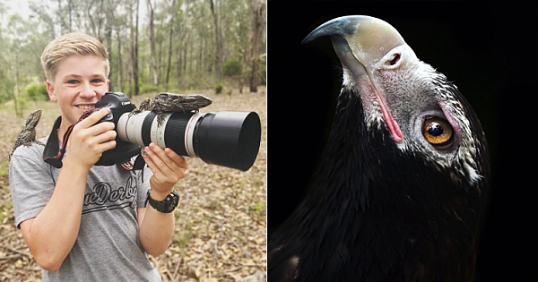 Steve Irwin's 14-Year-Old Son Is Now An Award-Winning Photographer, And Here Are 30 Of His Best Photos