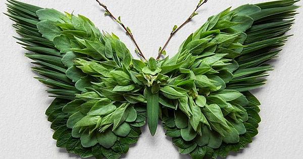 Artist Creates Animal Sculptures From Flower Arrangements