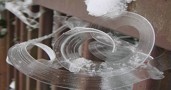 Incredible Natural Phenomena That Seem Impossible But Are Totally True