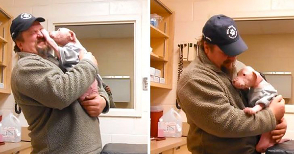 Pit Bull Puppy Flips Out When His Rescuer Comes Back To Adopt Him