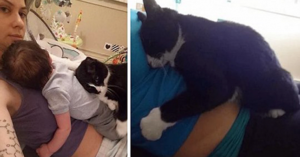This Cat Has Been Guarding Her Little Human Since Before He Was Born