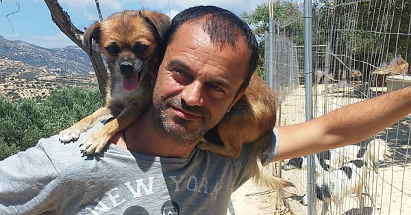 This Dentist Gave Up A Successful Career To Save The Lives Of Abandoned Dogs