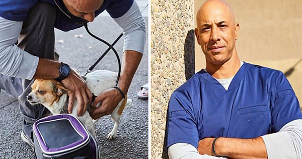 This Veterinarian Is Walking Around California Treating Homeless People's Animals For Free